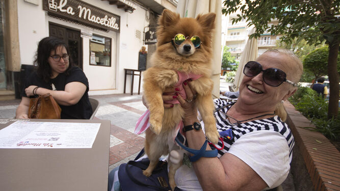 Una mujer bromea con su perro en una terraza de Granada