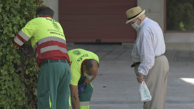 Escena cotidiana de Granada en esta 'nueva normalidad'