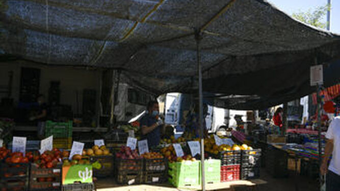 Fotos: as&iacute; ha sido el regreso del mercadillo en el Zaid&iacute;n de Granada