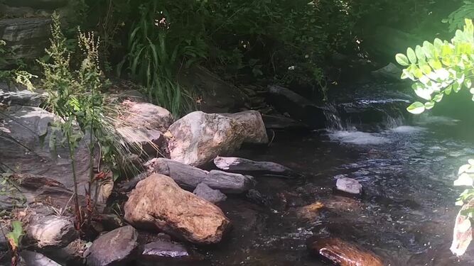 Los embalses y ríos de Granada donde no es aconsejable bañarse