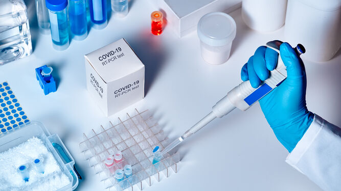 ¿PCR o test de anticuerpos? Así son las pruebas de diagnóstico de la Covid-19