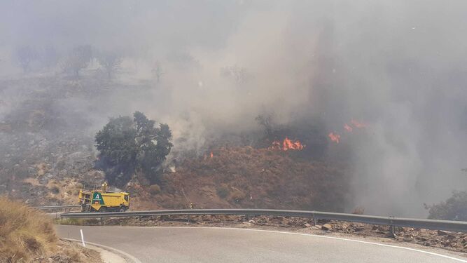 Imagen del incendio en la Haza del Lino