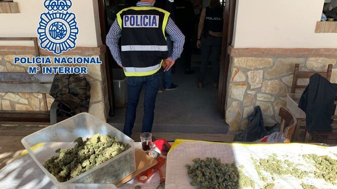 Parte de la marihuana intervenida durante la operación policial en Granada.
