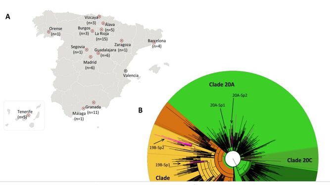 El ADN del coronavirus en Granada, una de las primeras variantes que circuló "en silencio" por España