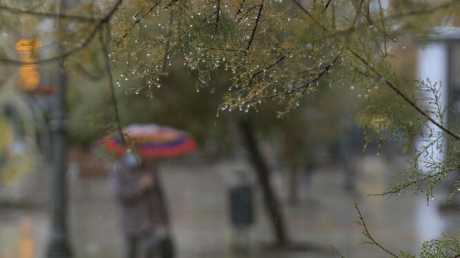 Fotos: d&iacute;a de lluvia en Granada