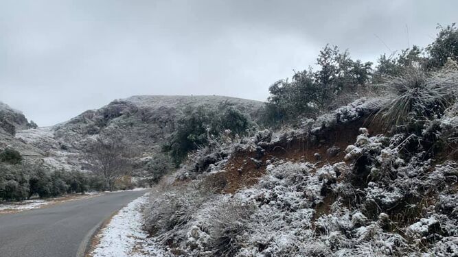 Fotos: La nieve llega a Granada capital y a pueblos del Cintur&oacute;n