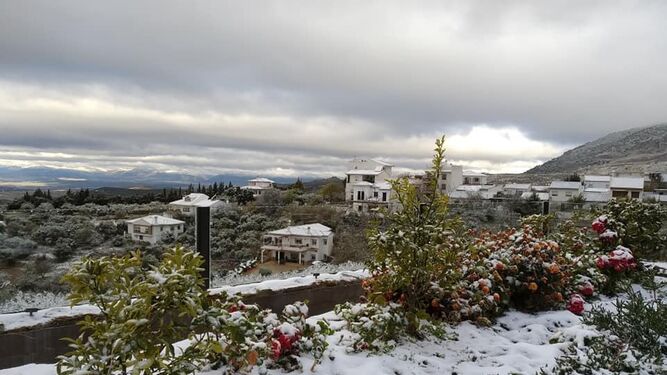 Fotos: La nieve llega a Granada capital y a pueblos del Cintur&oacute;n