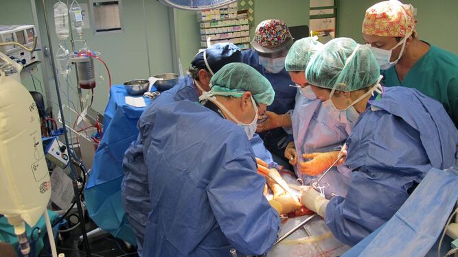 Varios médicos realizan un trasplante en un hospital.