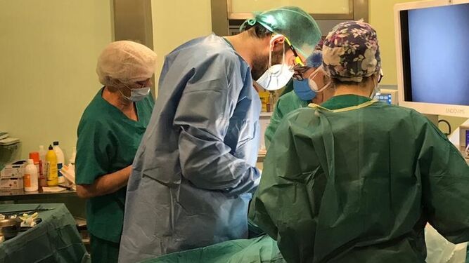 El Hospital Virgen de las Nieves de Granada realiza 70 trasplantes de órganos en 2020