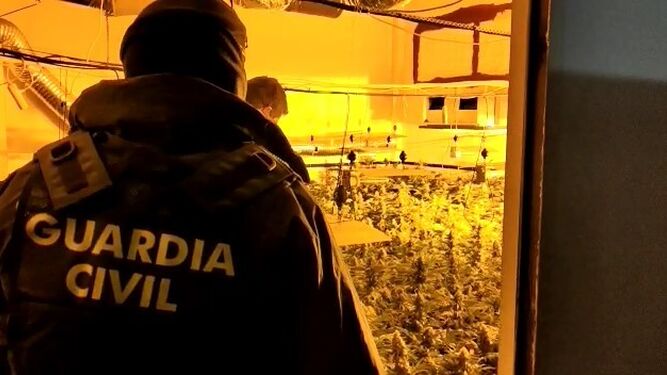 Agentes de la Guardia Civil de Granada en una de las plantaciones de marihuana desmanteladas.