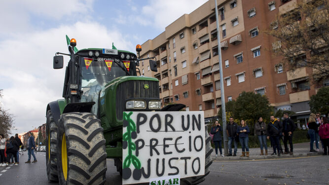 Imagen de archivo de la tractorada que tuvo lugar en Granada en 2020.