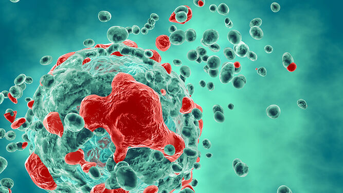 Investigadores de la US obtuvieron anticuerpos capaces de reconocer específicamente células tumorales humanas