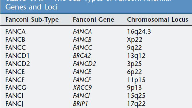 Listado de nombres de genes relacionados con un tipo de anemia humana