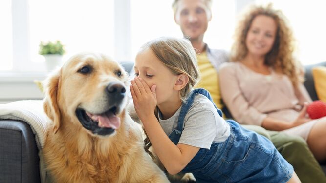 Convivir con perros mejora el crecimiento emocional infantil, según estudio