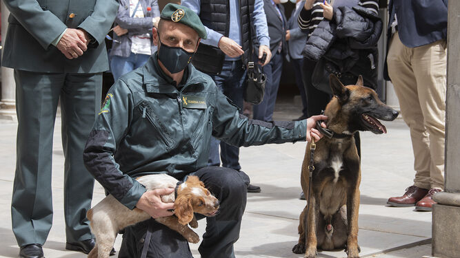 Agente de la Guardia Civil, en la presentación del programa con perros promovido por la UGR el pasado mes de abril.