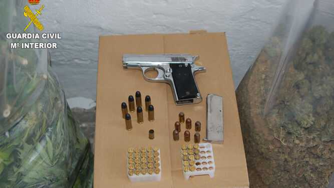 Pistola y droga intervenida en la plantación de marihuana desmantelada en Almuñécar.