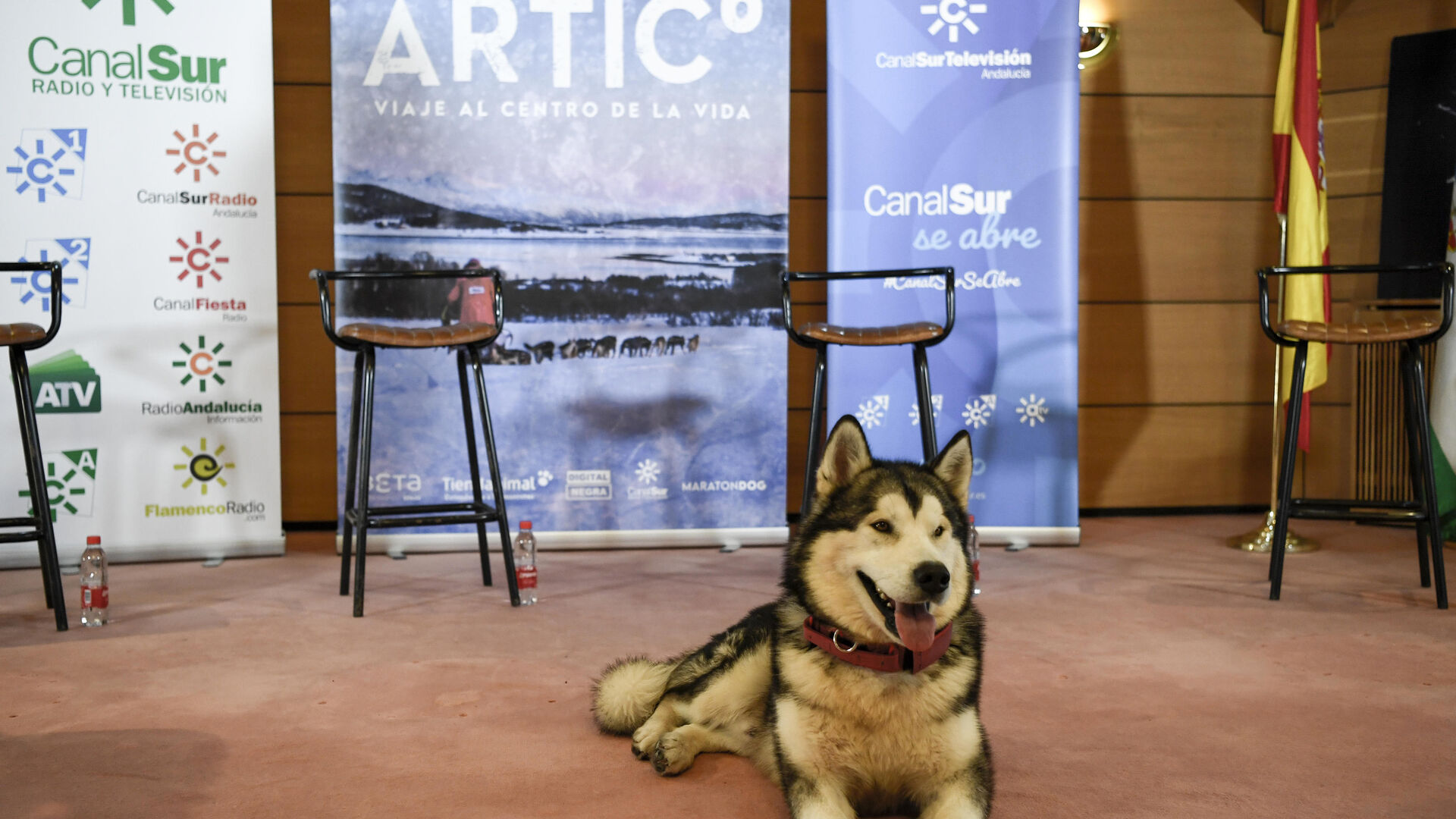 Fotos de 'Desaf&iacute;o &Aacute;rtico' en Granada, Desaf&iacute;o &Aacute;rtico', docuserie sobre una expedici&oacute;n al Polo Norte