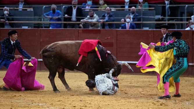 Pablo Aguado intenta zafarse de los pitones del toro en Vistalegre.
