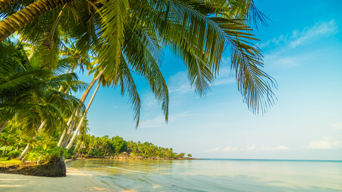Datos curiosos sobre unas vacaciones  en una isla exótica