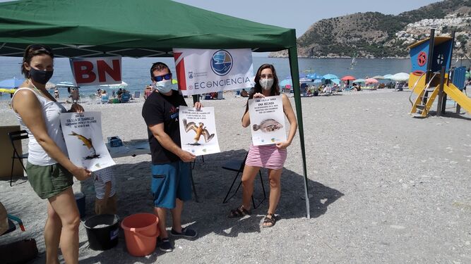 'Econciencia' comienza en La Herraudra la campaña contra las colillas en las playas sexitanas