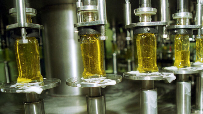 Botellas de aceite de oliva en la cadena de producción.