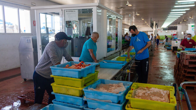 La lonja de Motril aumenta sus capturas de pesca en el primer semestre del año