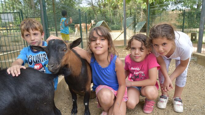 Fundación 'la Caixa' realiza actividades de verano en Granada para menores en situación vulnerable