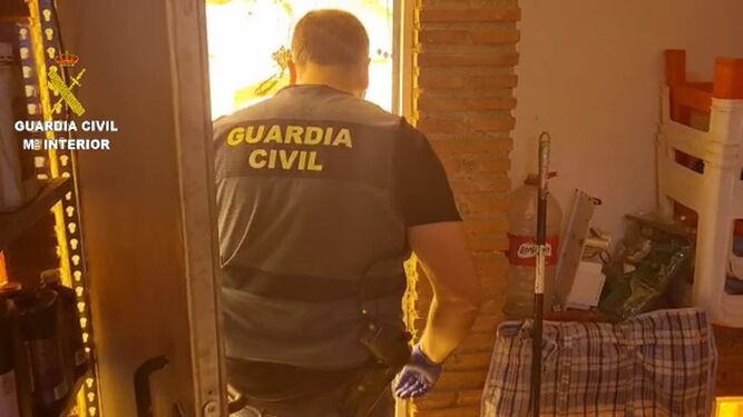 Operación 'Smaguanas' en Granada: Desarticulan un centro de cultivo y envasado al vacío de droga en Monachil