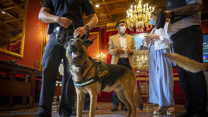 El agente Stan Lee lidera la recuperación de la Unidad Canina de la Policía Local de Granada