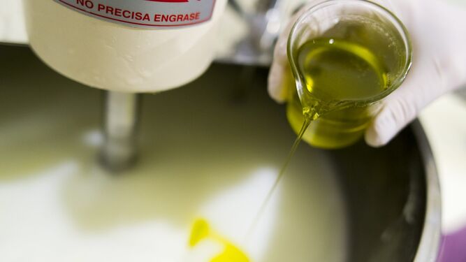 Investigación en Granada para estudian la eficacia del aceite de oliva para personas con ostomía digestiva