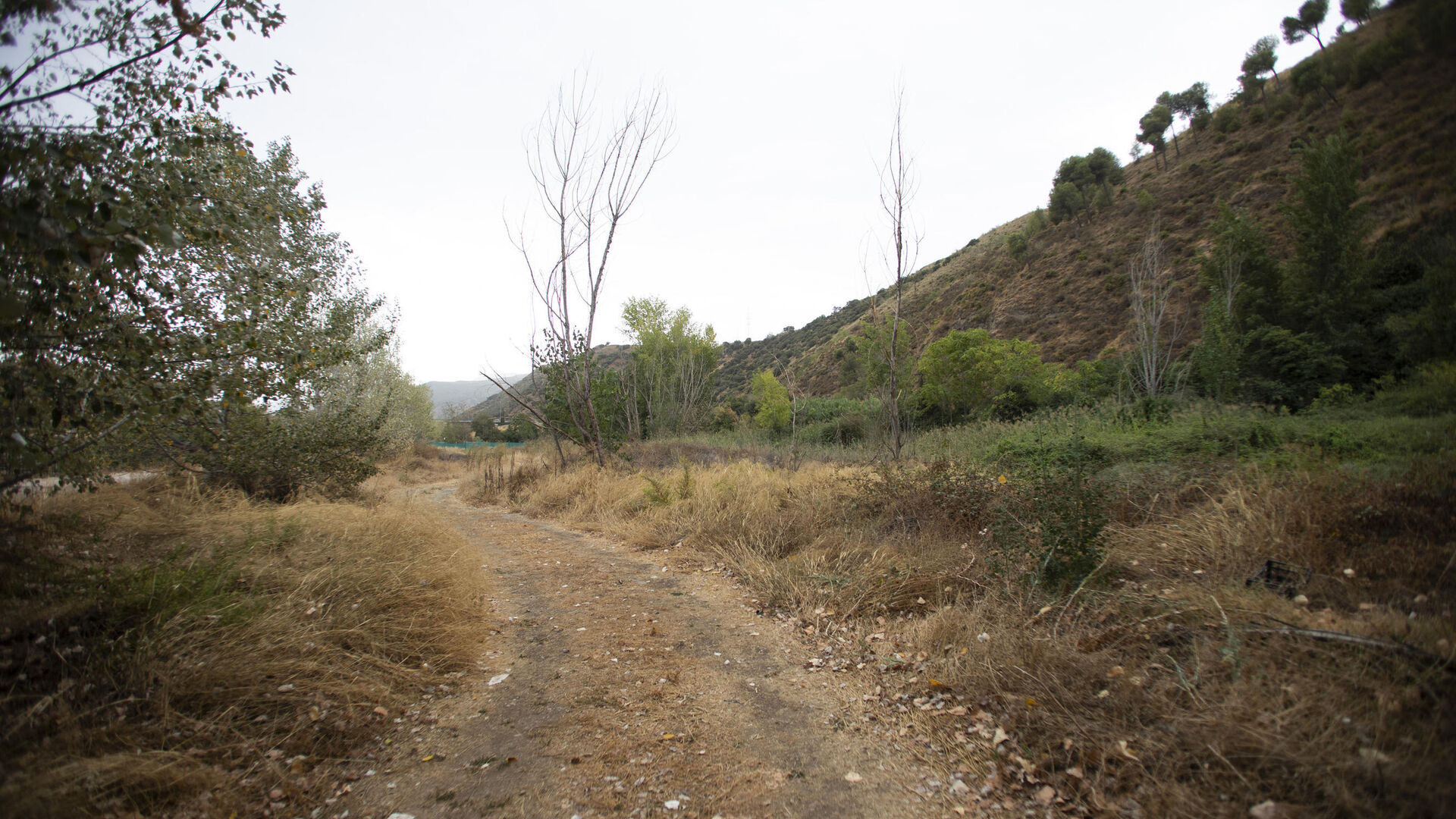 Ruta del Colesterol en Granada: cauces de los r&iacute;os Genil y Monachil