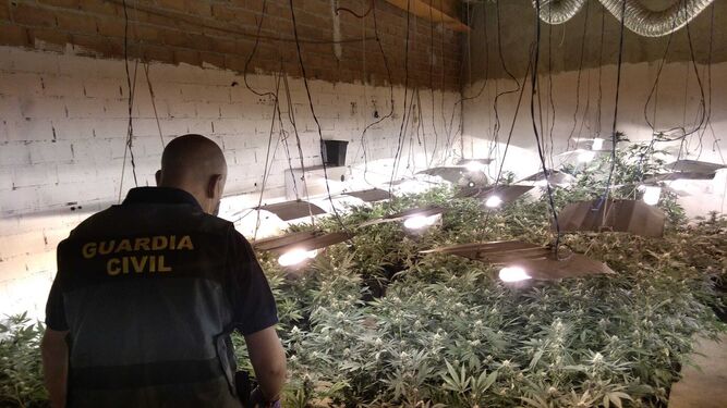 La Guardia Civil de Granada sorprende a cuatro personas mientras mudaban cannabis en Ogíjares