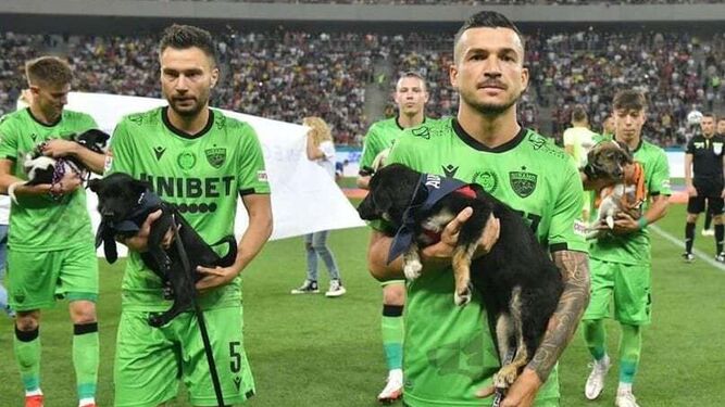 La federación rumana de fúbol presentará en cada partido perros para promover la adopción