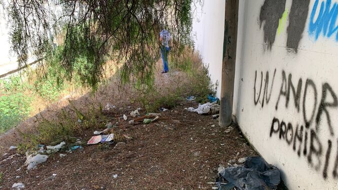 Costa de Granada: PSOE pide la limpieza urgente de la rambla cercana de la Ronda de Poniente de Motril