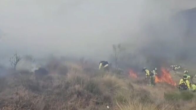 Agentes del Infoca trabajan en la extinción del incendio forestal en La Taha.