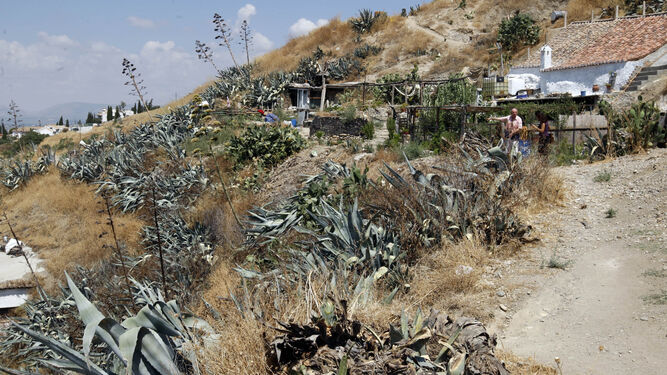 El Ayuntamiento proyecta desalojar las cuevas ilegales de San Miguel para construir un parque
