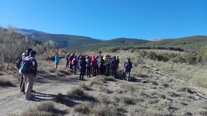 El grupo de senderistas hace una alto en el camino en su ruta hacia Lanteira