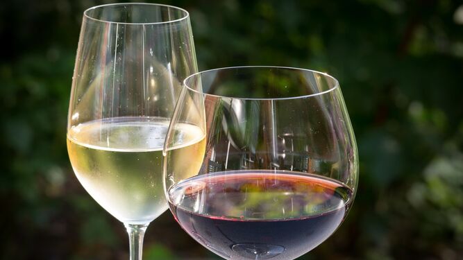 El 'terroir' hace que cada vino sea único.