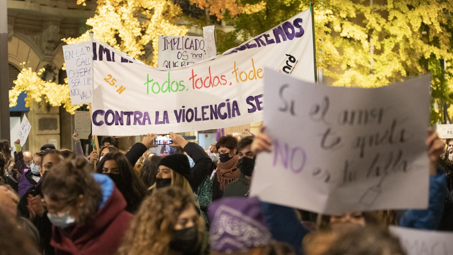 La manifestaci&oacute;n del 25-N en Granada en im&aacute;genes