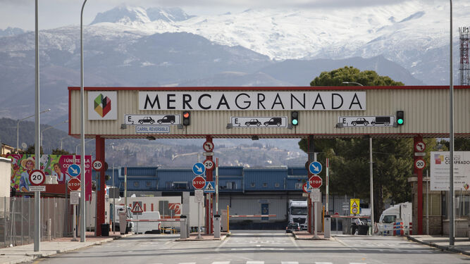 Granada pide a la Junta la inversión para el Área Logística