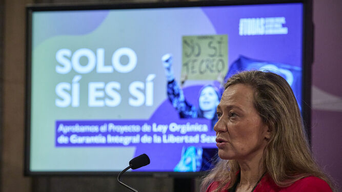 La delegada del Gobierno contra la Violencia de Género, Victoria  Rosell , durante una rueda de prensa en Madrid