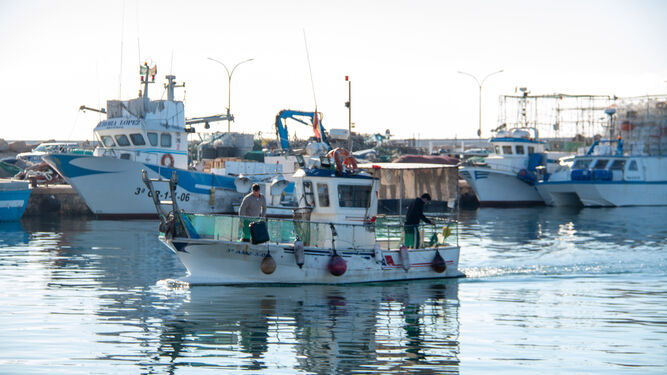 Los pescadores de Motril ven "asfixiantes" los nuevos recortes impuestos por Europa