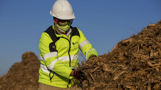 Un trabajador de Ence con restos de biomasa para la producción en una planta de la energética.