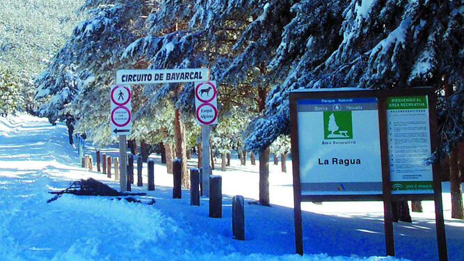 Área recreativa de La Ragua en una temporada con nieve