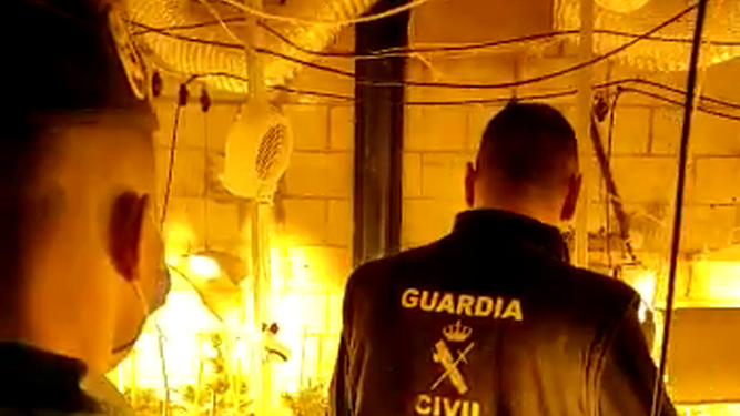 Agentes de la Guardia Civil en una de las plantaciones desmanteladas en la Operación Green Cheese de Granada.