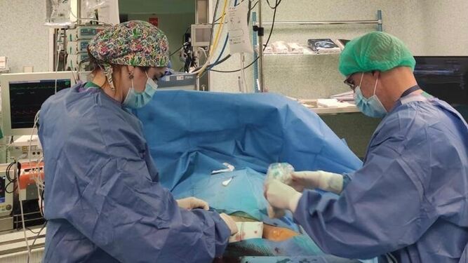 Equipo quirúrgico durante un trasplante.