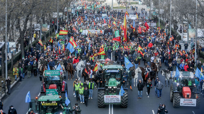 Marcha en defensa del campo y el mundo rural ayer en Madrid.