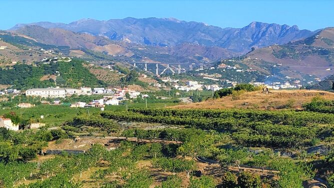 Instituciones de la Costa de Granada buscarán junto a  la Junta una solución para la falta de agua de riego