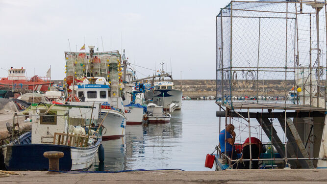 Los pescadores desconvocan la huelga por los recortes impuestos por Europa a causa de Ómicron