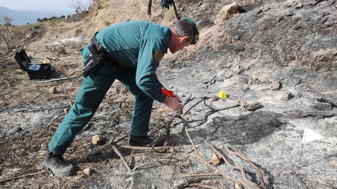Uno de los agentes recaba pruebas del incendio forestal en Lecrín.